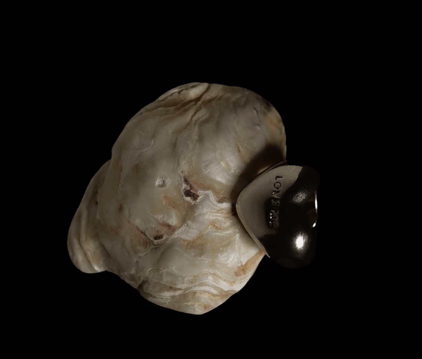 Artistic still life by Poland photographer